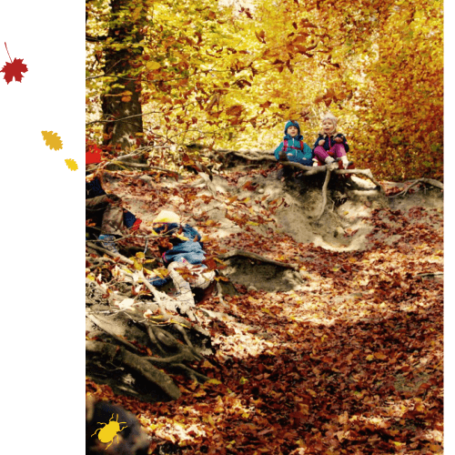 Kinder spielen im Wald